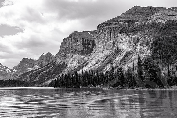 715_Jasper_072519