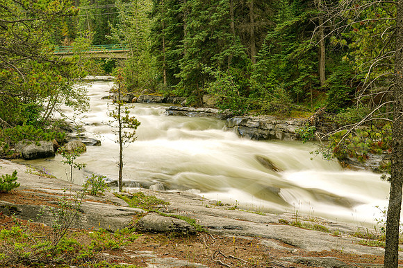 749_Jasper_072519