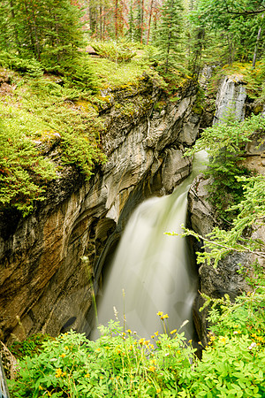 755_Jasper_072519