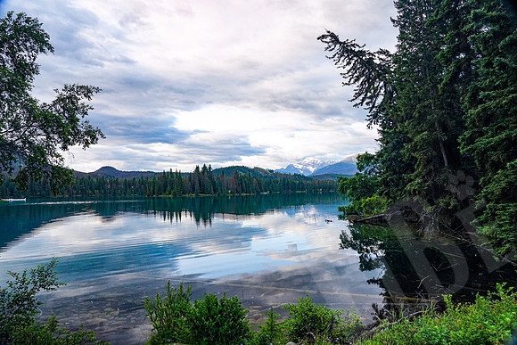 771_Jasper_072519