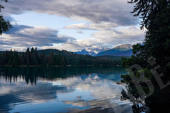 773_Jasper_072519
