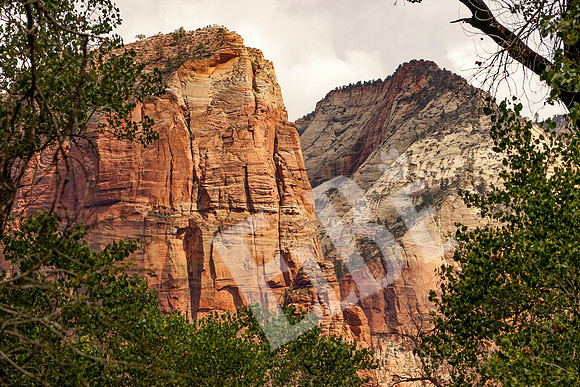 ZionCanyon_3326_09-22-16