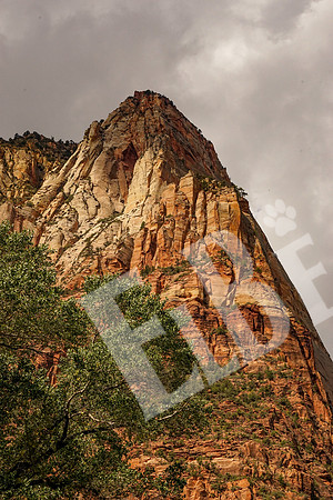 ZionCanyon_3320_09-22-16