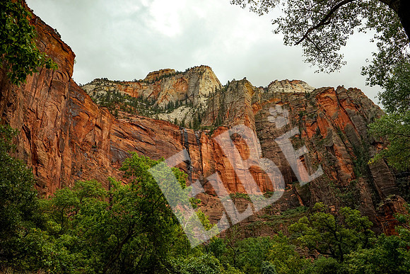 ZionCanyon_3269_09-22-16