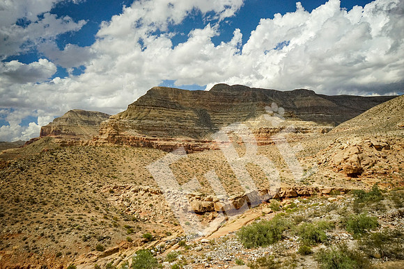 ZionCanyon_3402_09-22-16