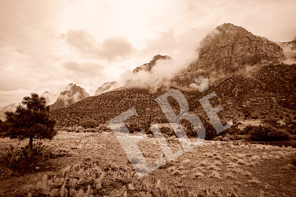 ZionCanyon_3073_09-21-16