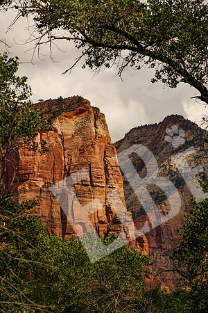 ZionCanyon_3324_09-22-16