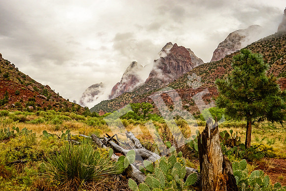ZionCanyon_3088_09-21-16
