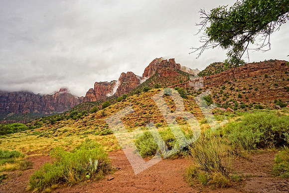 ZionCanyon_3097_09-21-16