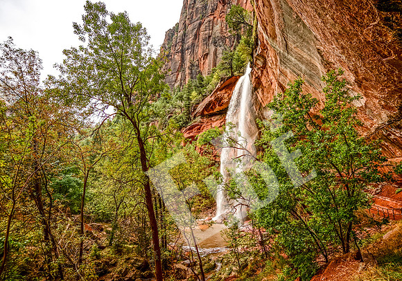 ZionCanyon_3157_09-22-16