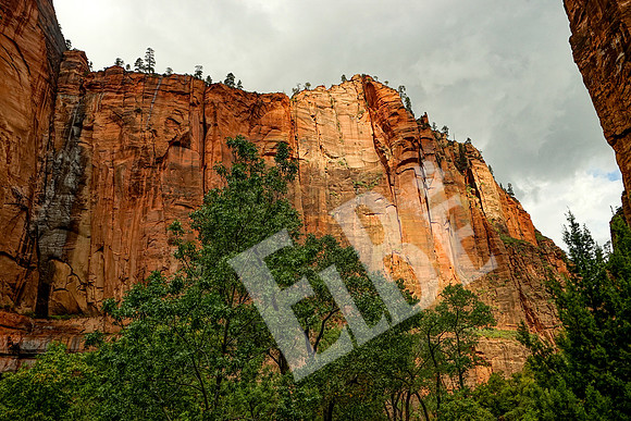 ZionCanyon_3280_09-22-16