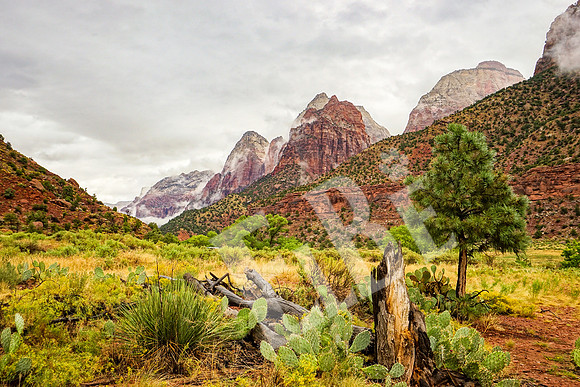 ZionCanyon_3103_09-21-16