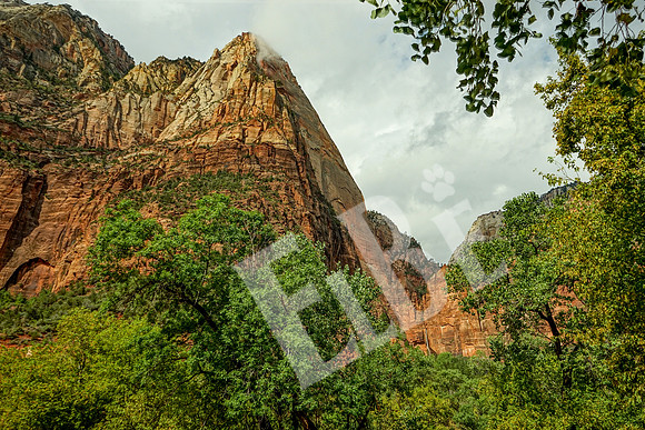 ZionCanyon_3295_09-22-16
