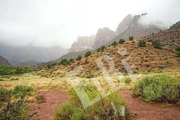 ZionCanyon_3044_09-21-16