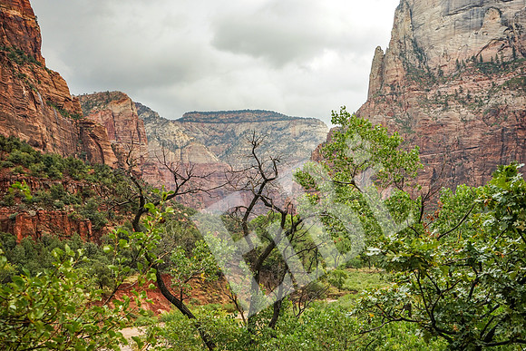 ZionCanyon_3120_09-22-16
