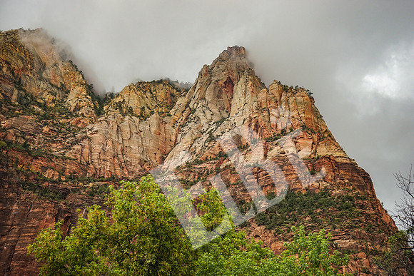 ZionCanyon_3112_09-22-16