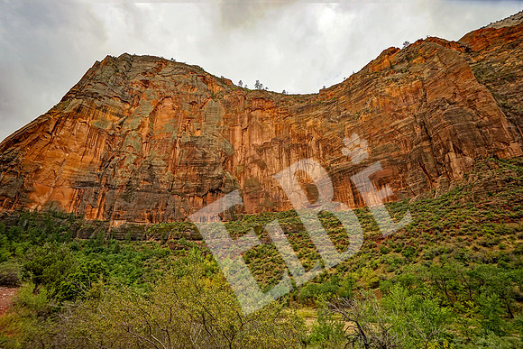 ZionCanyon_3242_09-22-16