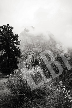ZionCanyon_3015_09-21-16