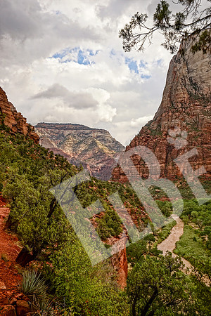 ZionCanyon_3224_09-22-16