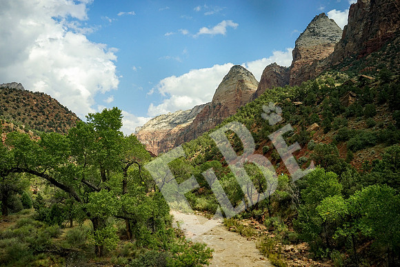 ZionCanyon_3368_09-22-16