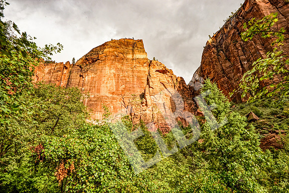 ZionCanyon_3139_09-22-16