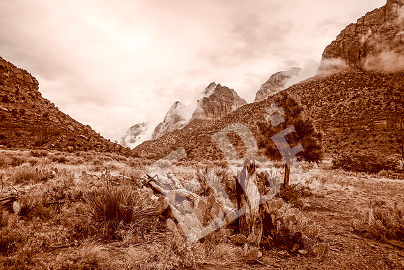 ZionCanyon_3090_09-21-16
