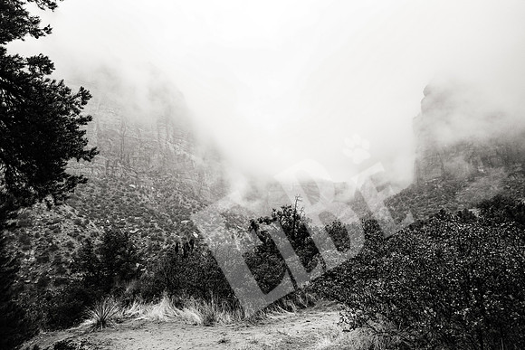 ZionCanyon_3017_09-21-16
