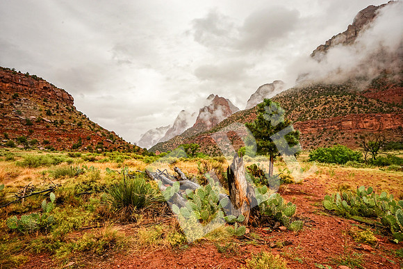 ZionCanyon_3075_09-21-16