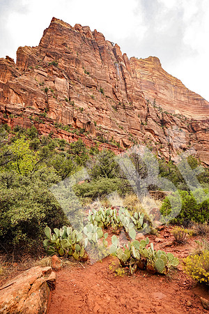 ZionCanyon_3213_09-22-16