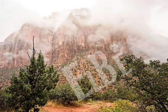 ZionCanyon_3041_09-21-16