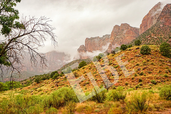 ZionCanyon_3061_09-21-16