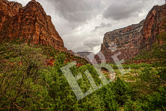 ZionCanyon_3129_09-22-16
