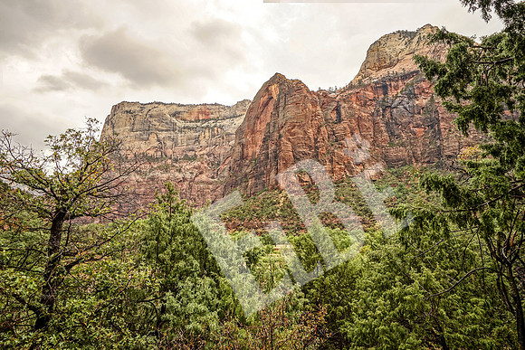 ZionCanyon_3133_09-22-16