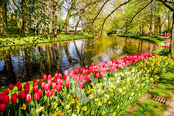Amsterdam_144_042517