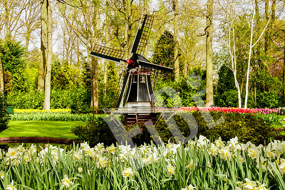Amsterdam_234_042517