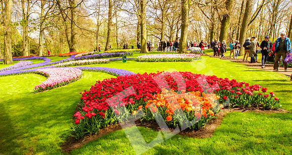 Amsterdam_134_042517
