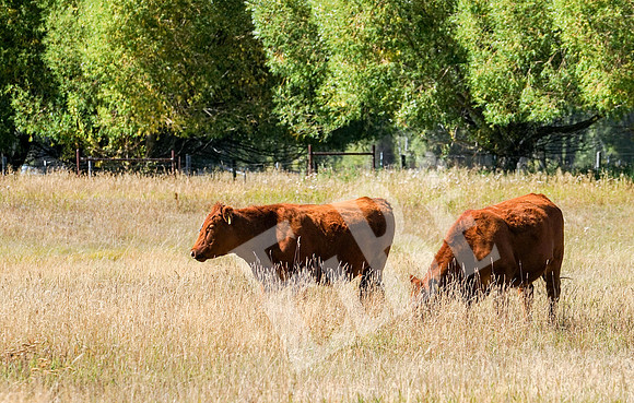Tetons_376_09-09-16