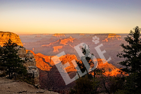 GC_2132_09-18-16