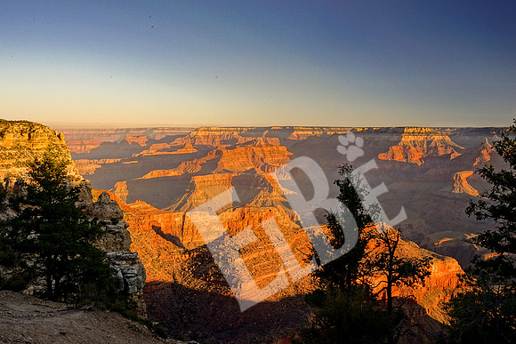GC_2155_09-18-16