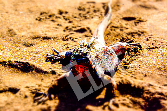 PuertoEgas_188_20131110P