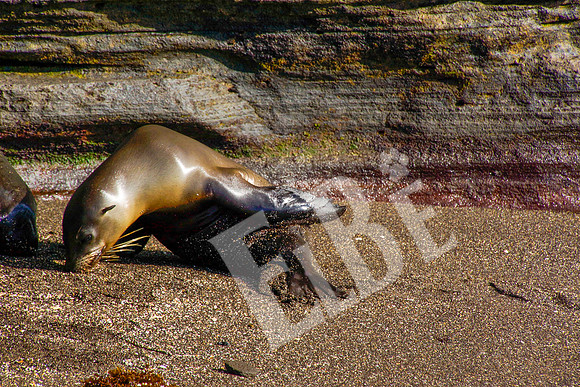 PuertoEgas_224_20131110P