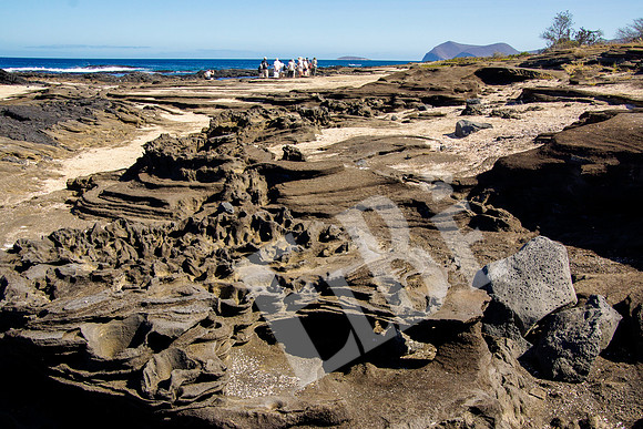 PuertoEgas_371_20131110P