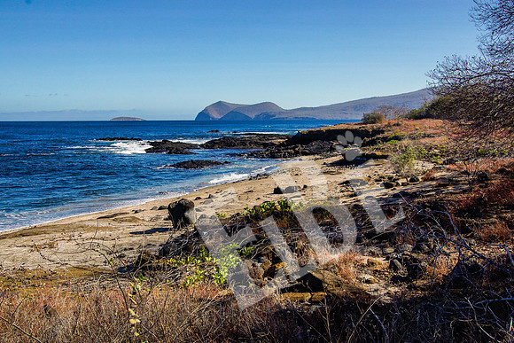 PuertoEgas_272_20131110P