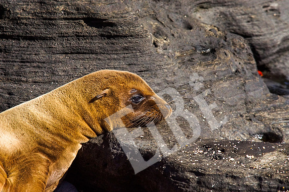 PuertoEgas_104_20131110B