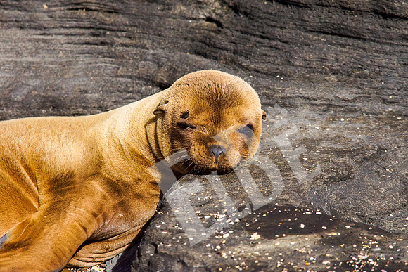 PuertoEgas_109_20131110B