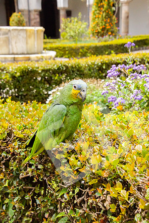 Quito_220_20131109P