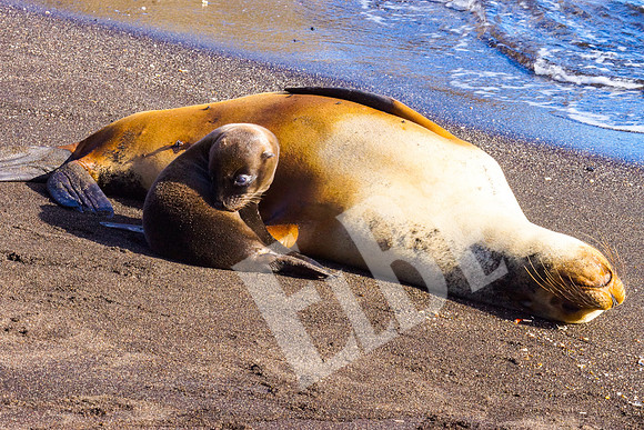 PuertoEgas_012_20131110B