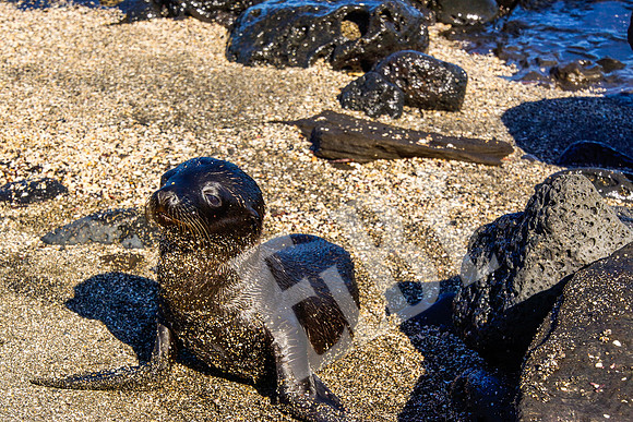PuertoEgas_337_20131110P