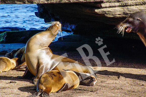 PuertoEgas_227_20131110P