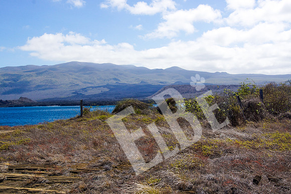 PuertoEgas_420_20131110P